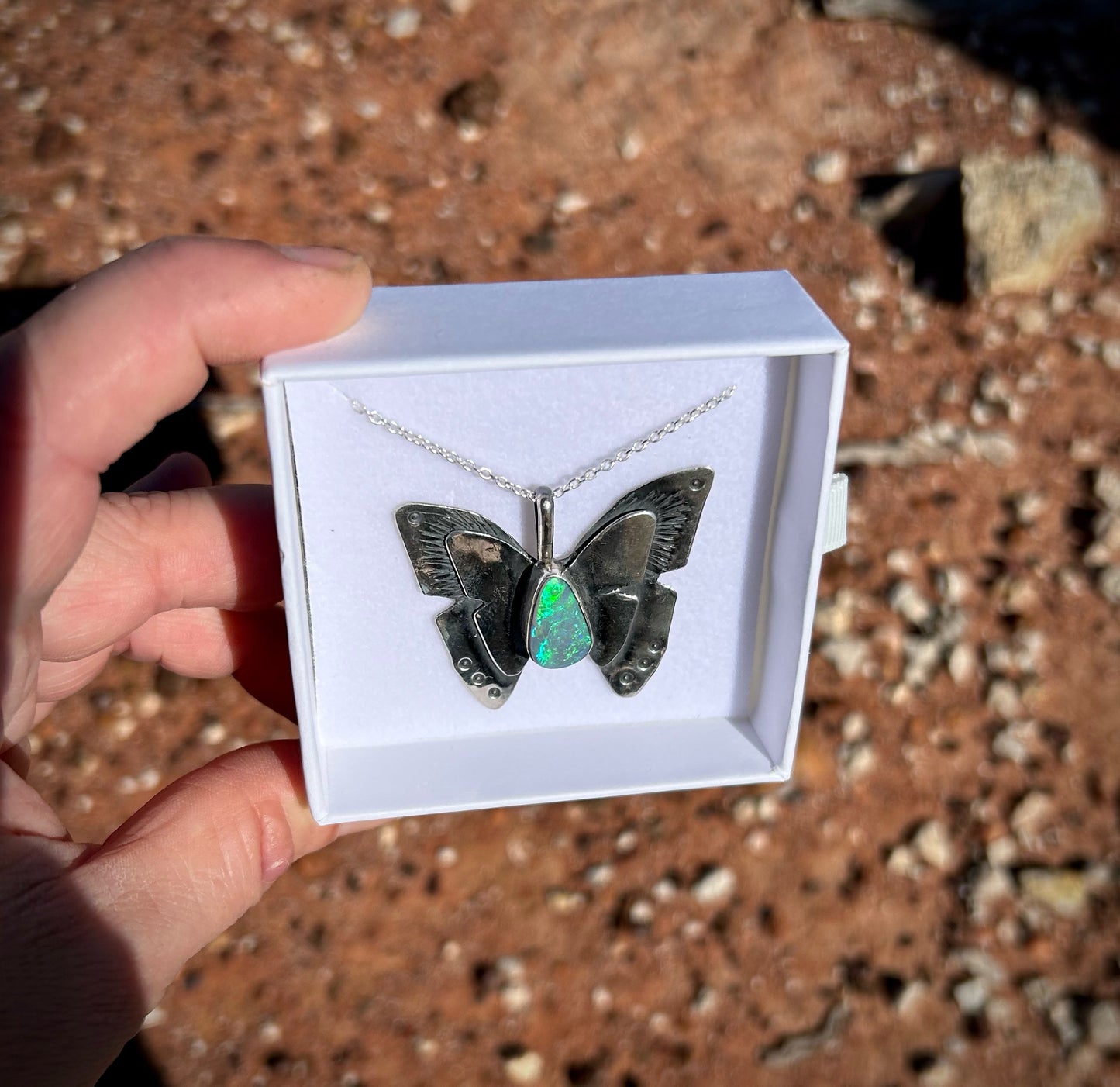 Butterfly - Miss Bindi Bindi