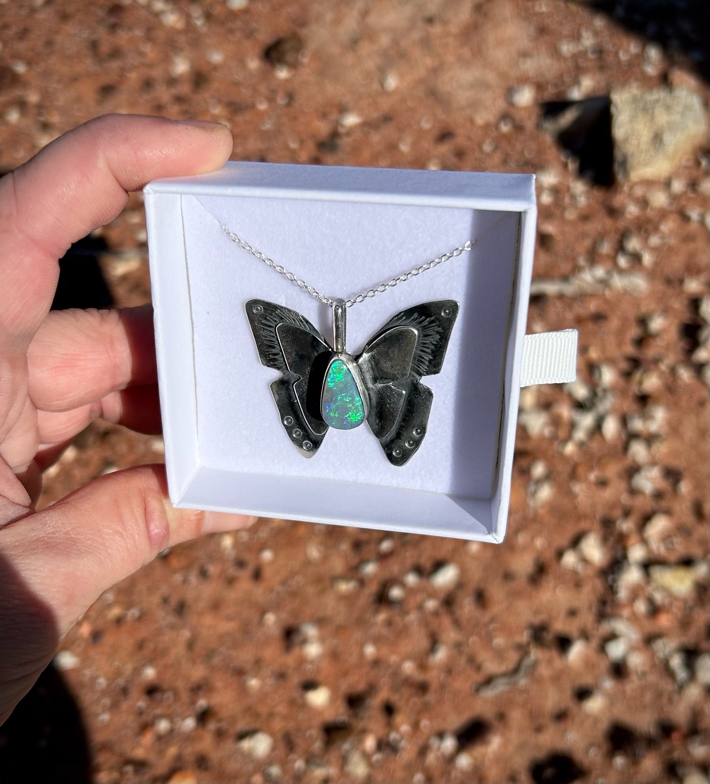 Butterfly - Miss Bindi Bindi