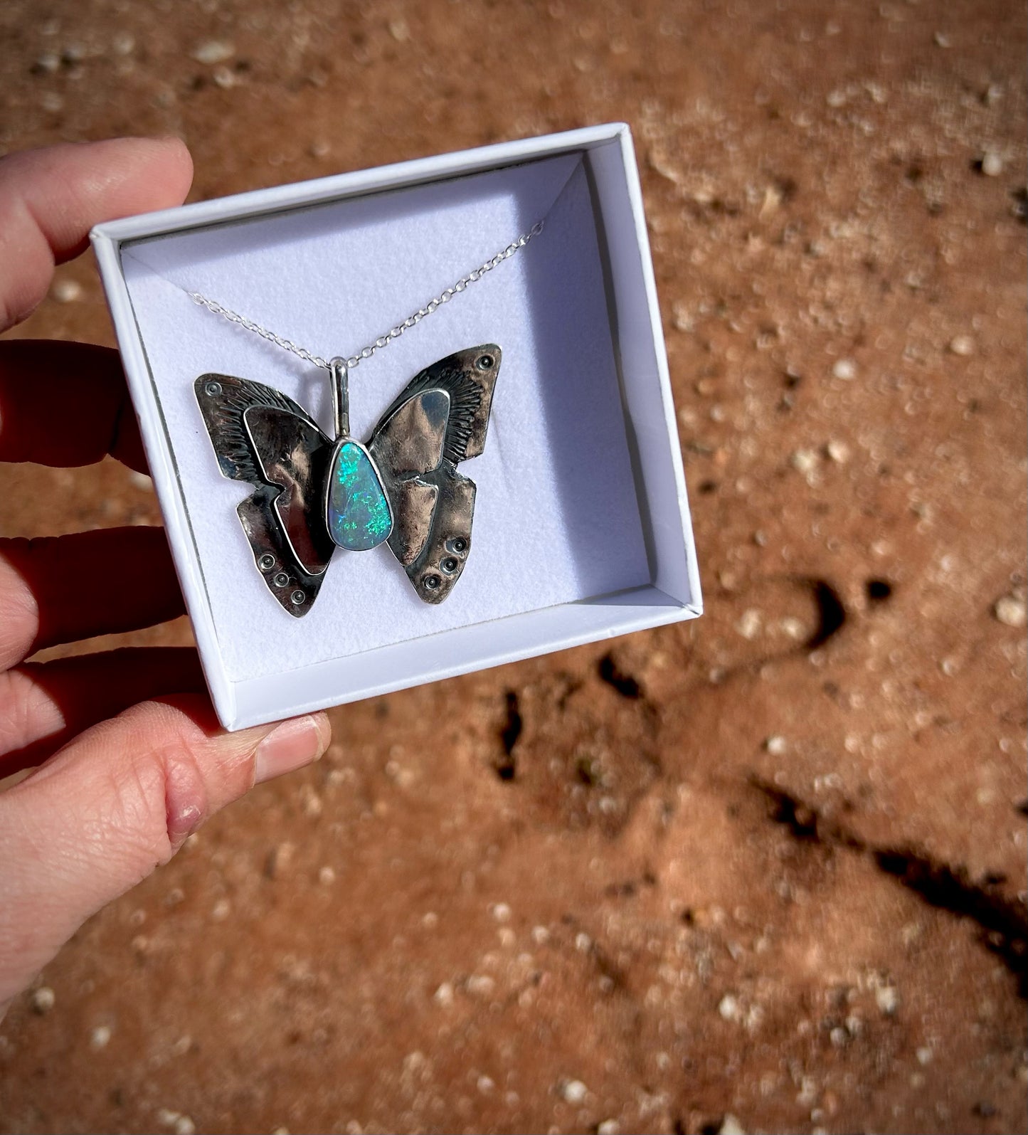 Butterfly - Miss Bindi Bindi
