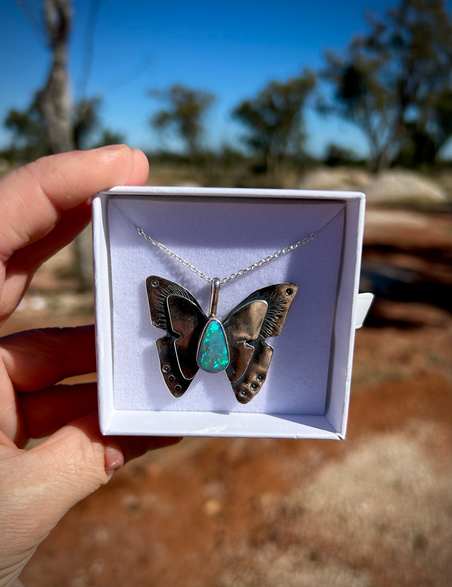 Butterfly - Miss Bindi Bindi