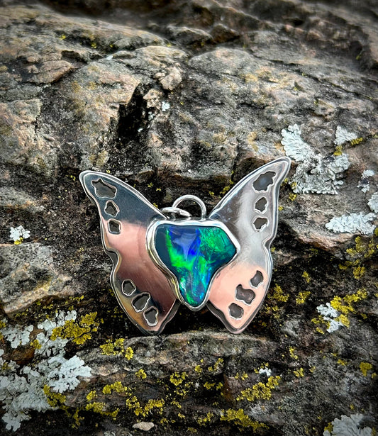 The year of butterflies