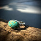 The Untamed one - Turquoise