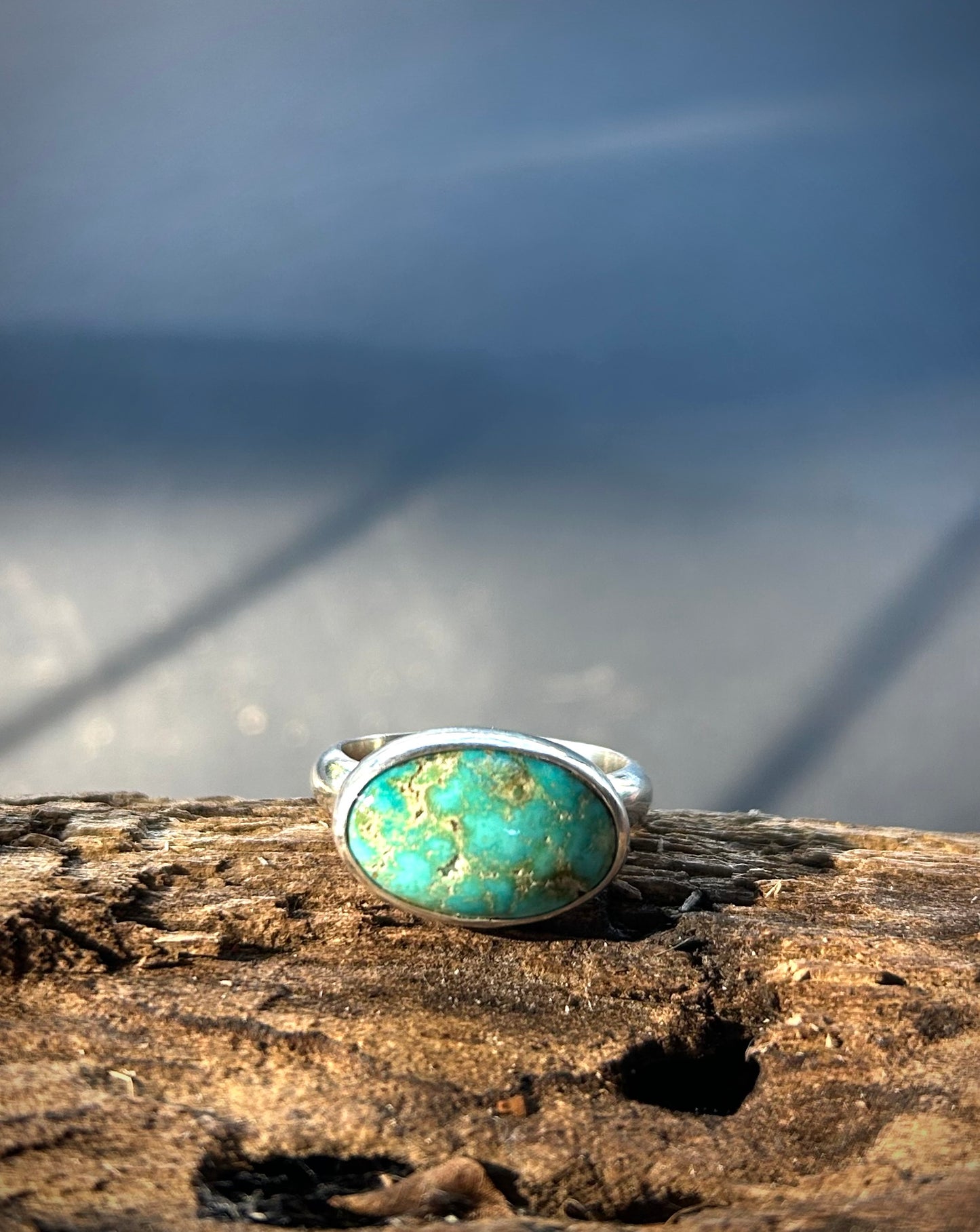The Untamed one - Turquoise