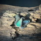 The Huntress - Butterfy