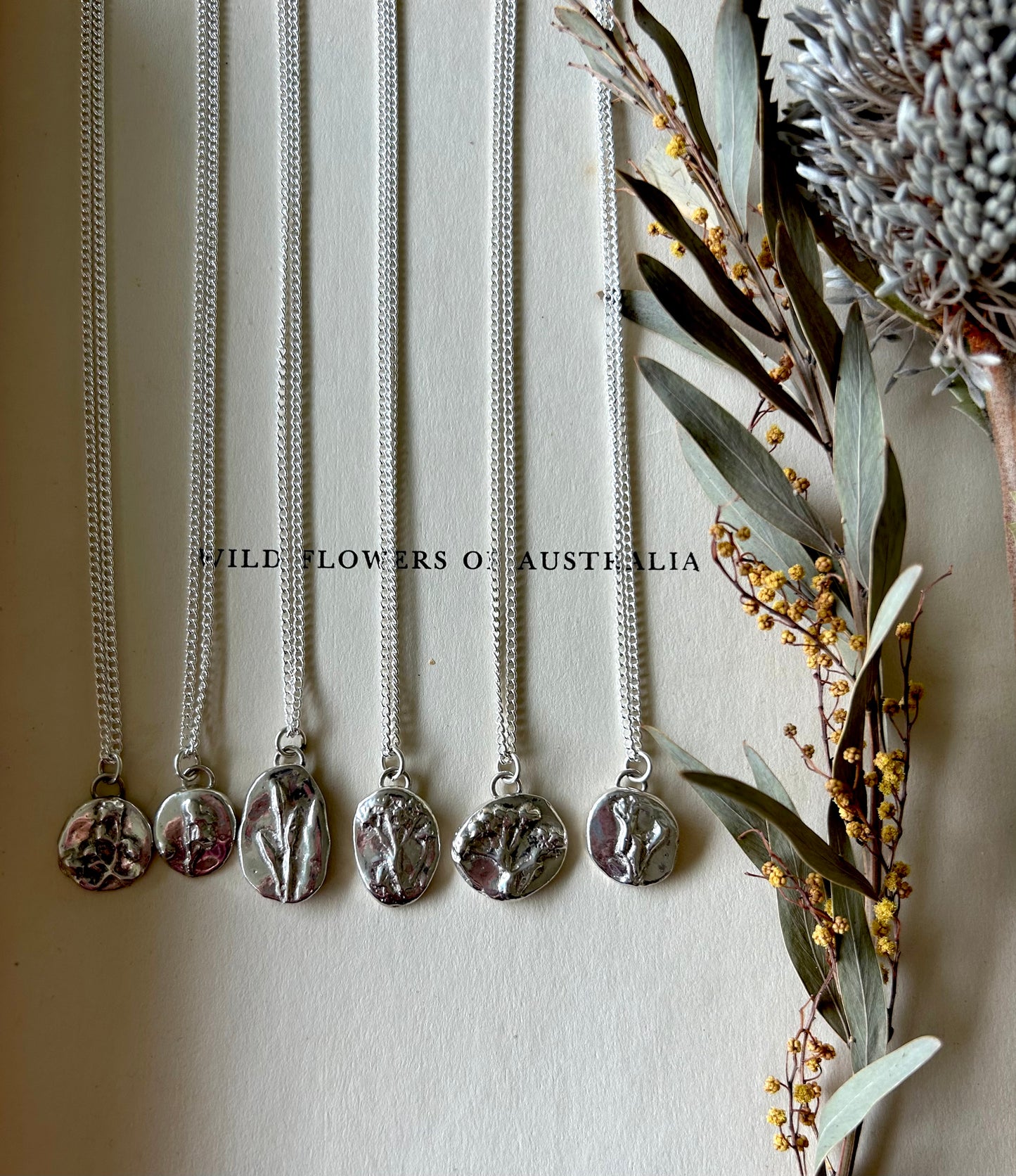 For my Mum - Angelonia