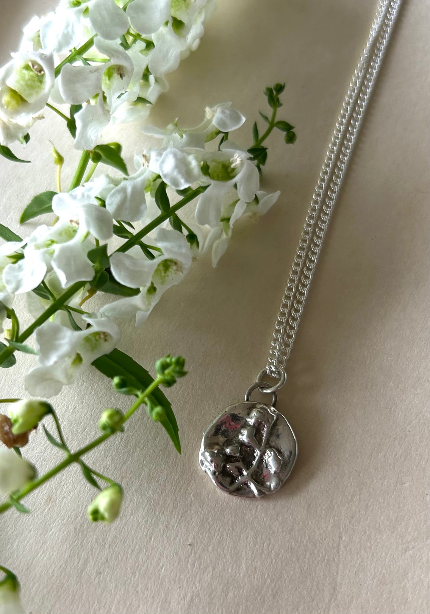 For my Mum - Angelonia