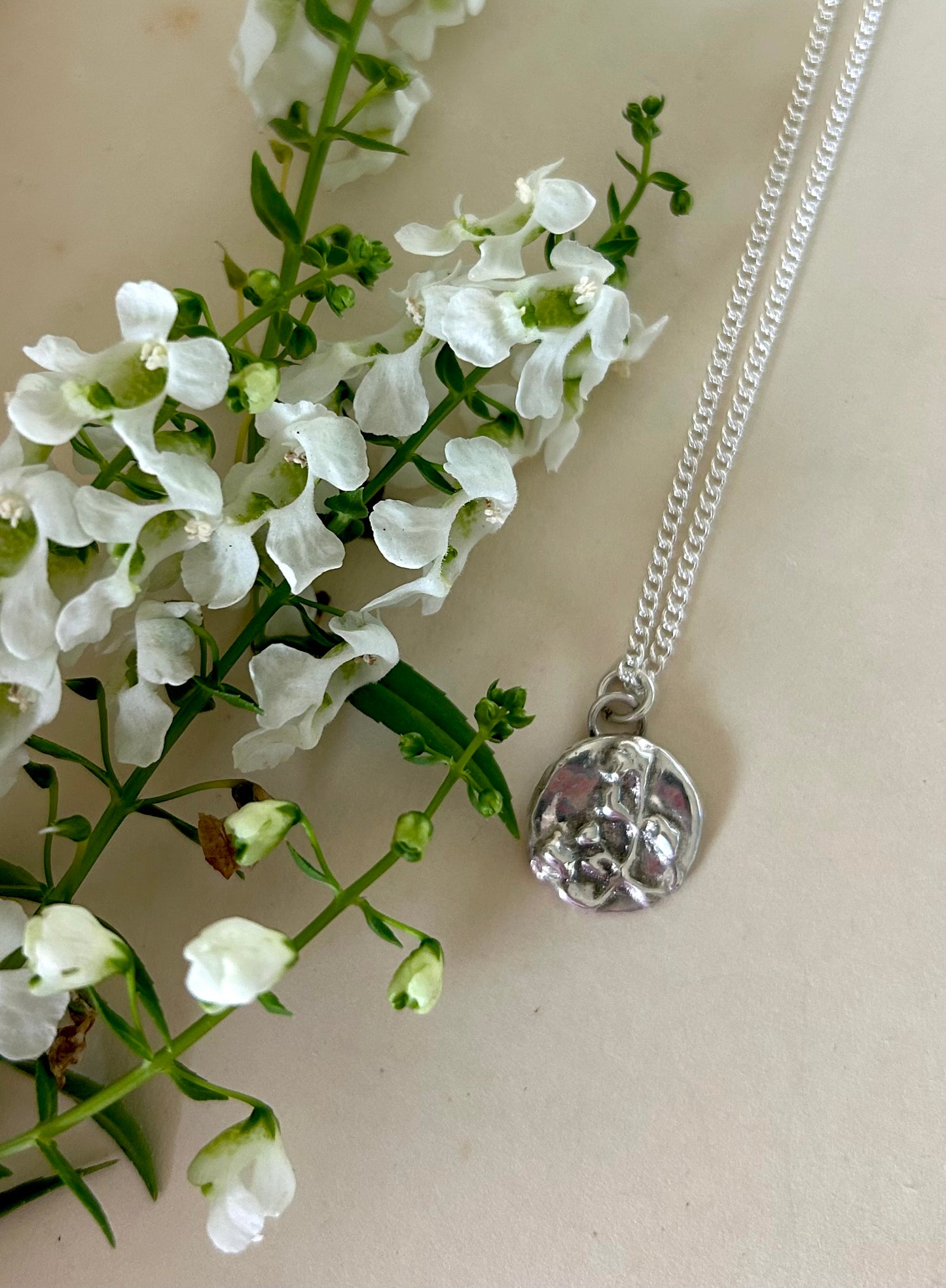 For my Mum - Angelonia