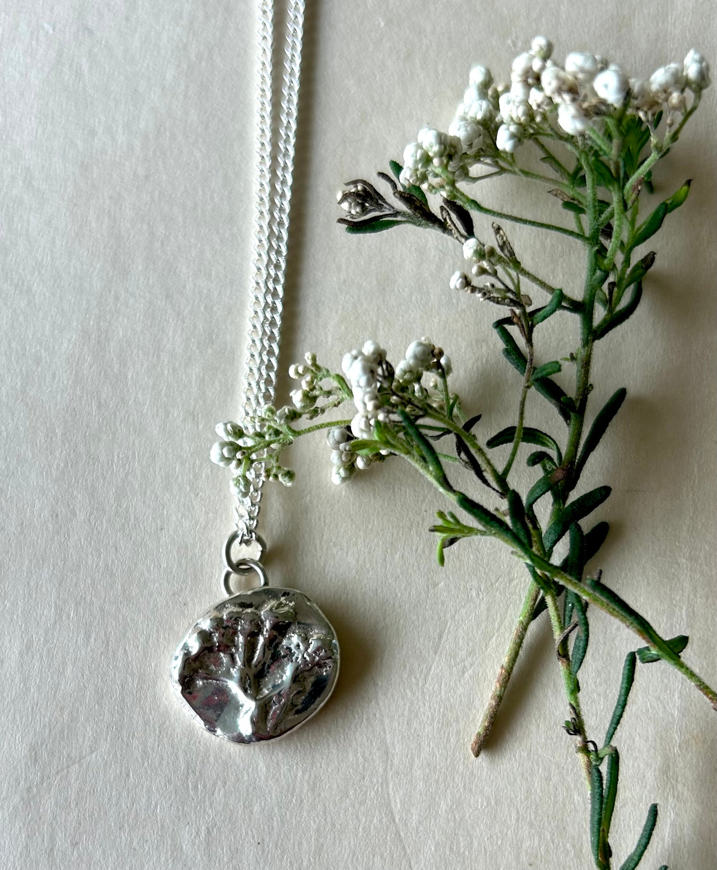 For my Sister - Sago Flower