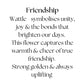 Friendship - Wattle pendant