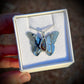 Butterfly - Lady Mununja (Boulder)