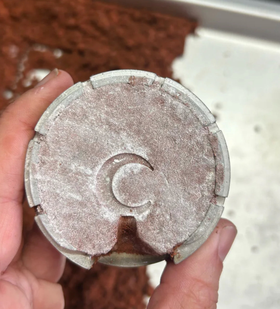 Crescent Moon - sand cast