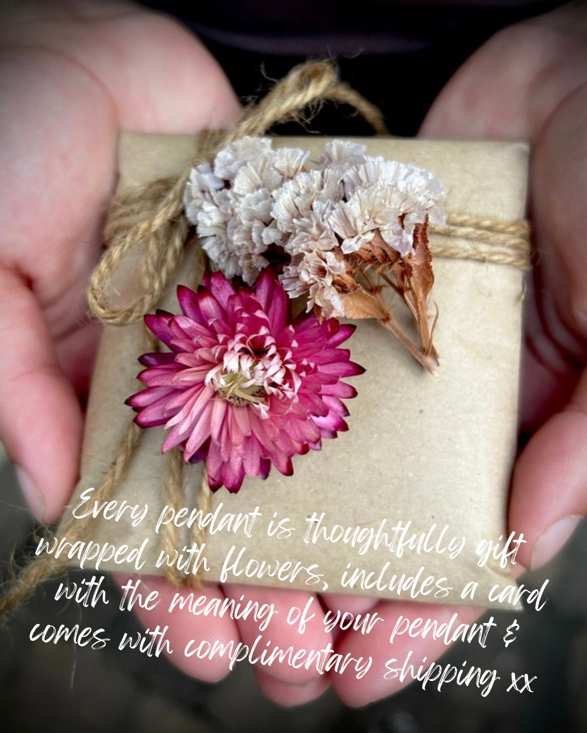 For my Mum - Angelonia