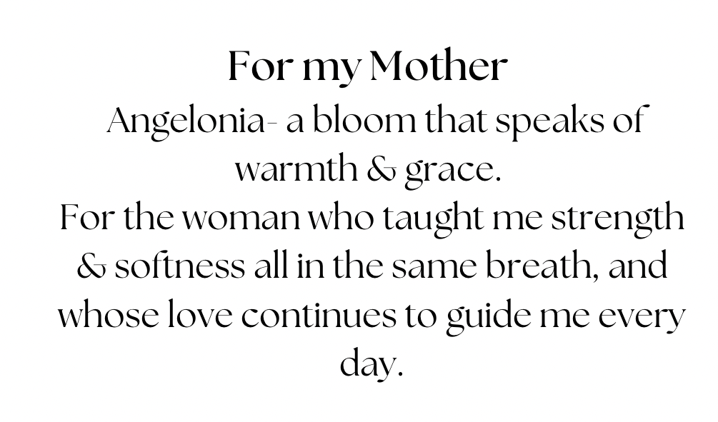 For my Mum - Angelonia