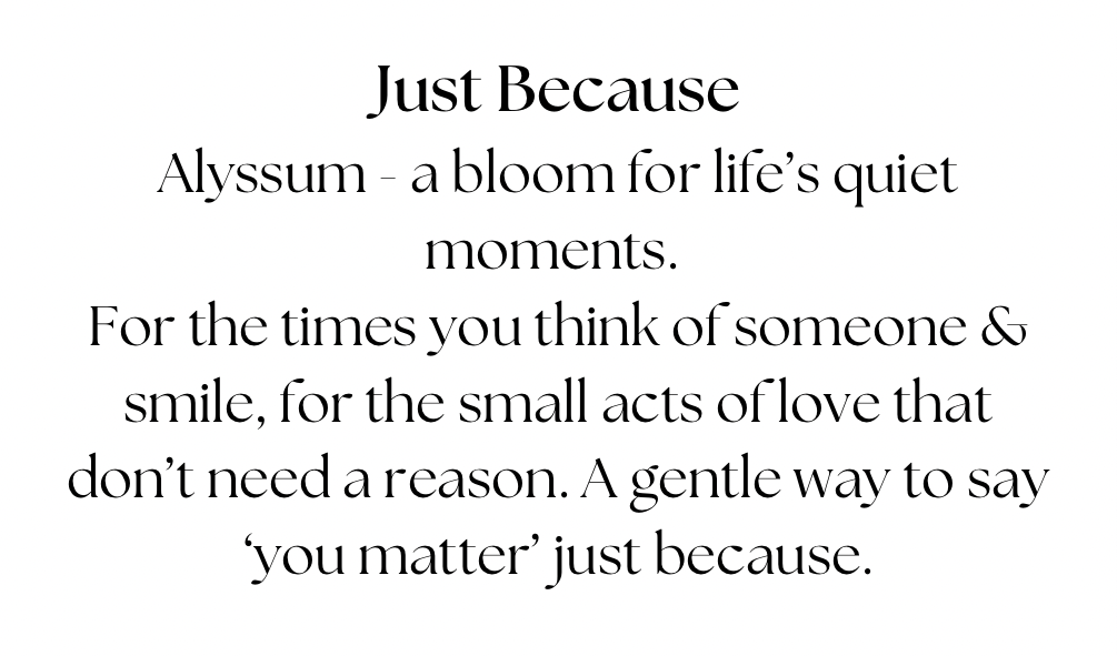 Just Because - Alyssum pendant