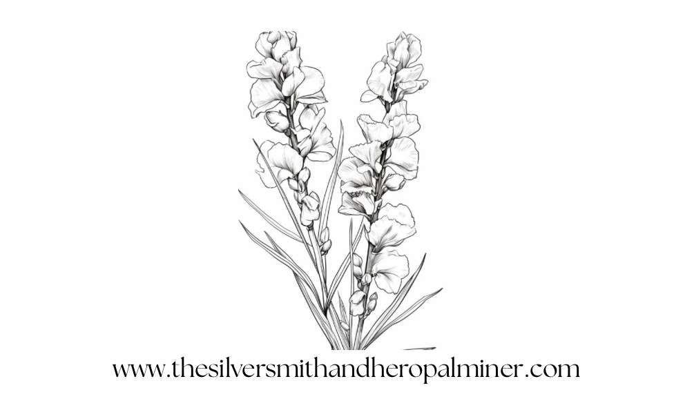 For my Mum - Angelonia